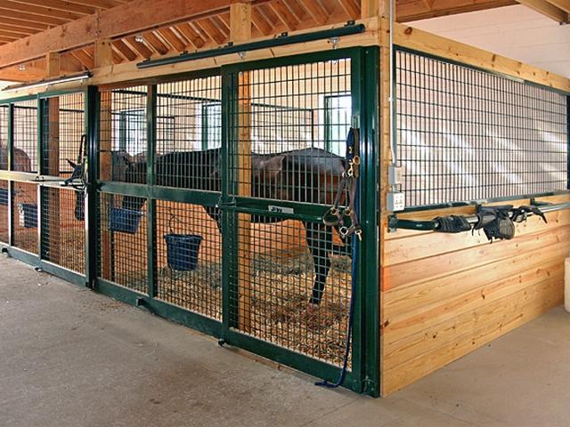Содержание лошадей в конюшне в Шарапово | ЗооТом портал о животных
